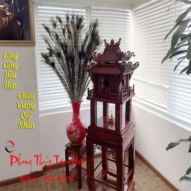 Lông chim công và những bí mật phong thủy