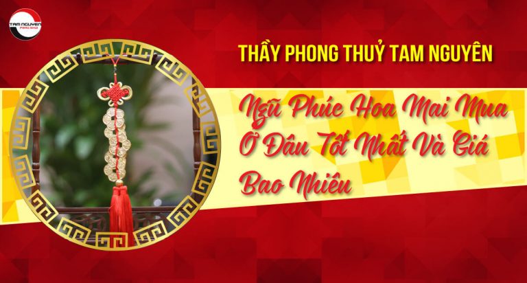 NGŨ PHÚC HOA MAI MUA Ở ĐÂU TỐT NHẤT VÀ BAO NHIÊU TIỀN?