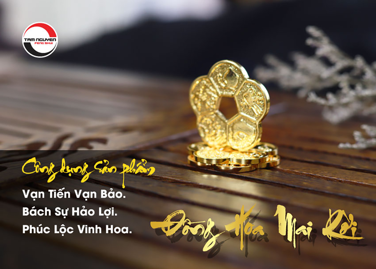 Bạn Đã Biết Ý Nghĩa Của 3 Biểu Tượng Xuất Hiện Trên Đồng Hoa Mai Chưa?