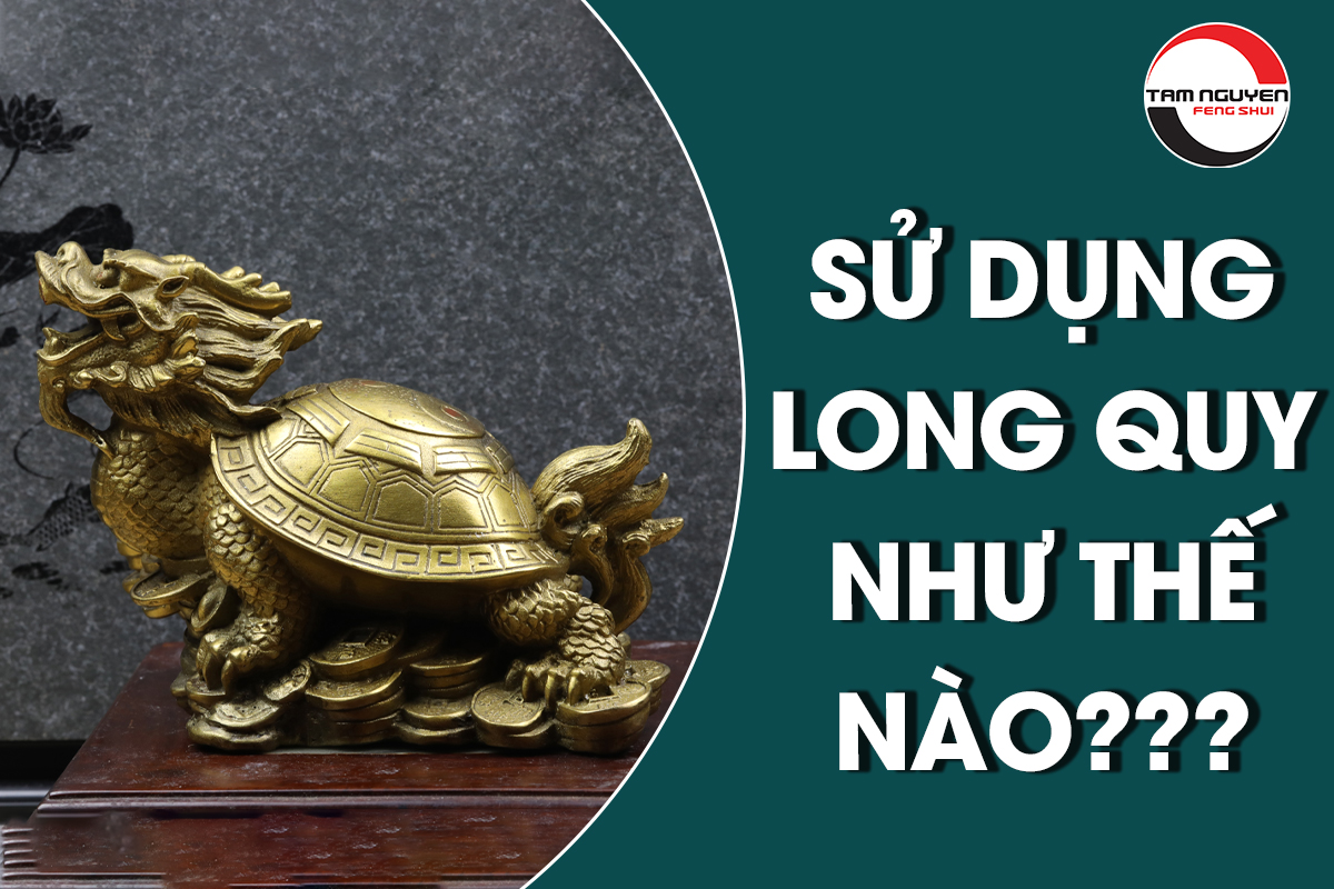 Bạn Đã Biết Ý Nghĩa Của Long Quy Trong Phong Thủy Chưa?