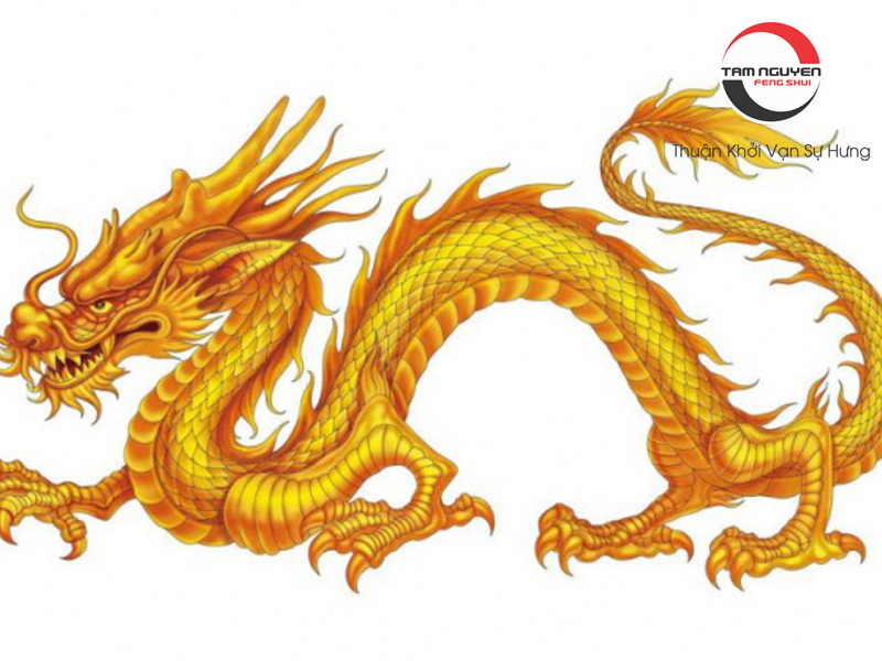 Rồng - Pháp Khí Hóa Sát Hàng Đầu Và Những Lưu Ý Khi An Đặt