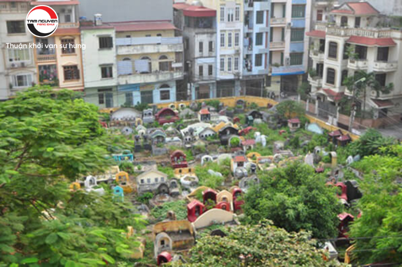 Tuổi Hợi Mua Đất Nền