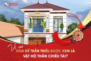 Vì Sao Hoa Đế Trần Triều Được Xem Là Vật Hộ Thân Chiêu Tài?