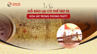 vi-sao-go-dao-duoc-dung-de-tru-ta-hoa-sat
