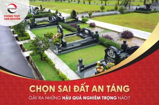 chon-sai-dat-an-tang-gay-ra-nhung-hau-qua-nghiem-trong-nao