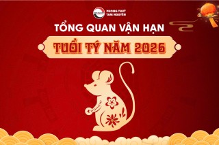 tong-quan-van-han-tuoi-ty-nam-2026