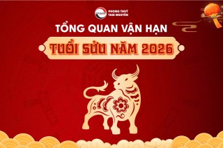 tong-quan-van-han-tuoi-suu-nam-2026