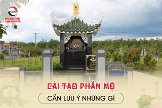 cai-tao-mo-phan-can-luu-y-nhung-gi