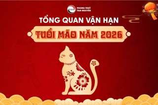 tong-quan-van-han-tuoi-mao-nam-2026