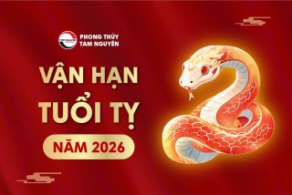 tong-quan-van-han-tuoi-ty-nam-2026
