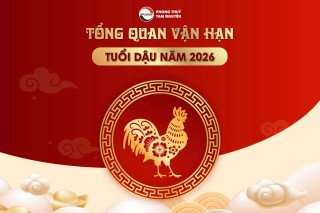 tong-quan-van-han-tuoi-dau-nam-2026