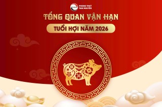 tong-quan-van-han-tuoi-hoi-nam-2026