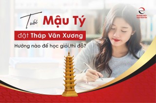tuoi-mau-ty-dat-thap-van-xuong-huong-nao-de-hoc-gioi-thi-do