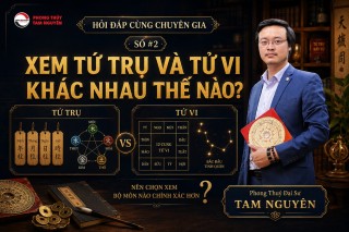 [Q&A] Xem Tứ Trụ và xem Tử Vi có gì khác nhau?